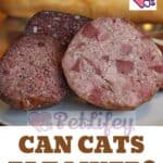 Can-Cats-eat-Liver-1a