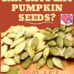 Can Cats eat Pumpkin Seeds?