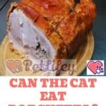 Can the cat eat Porchetta?
