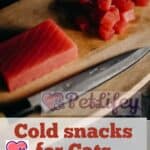 Cold snacks for Cats: 2 truly Delicious Recipes
