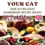 Cooking for your cat: our ultra-easy homemade recipe ideas!