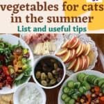 Fruits and vegetables for cats in the summer: list and useful tips