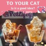 Giving ice cream to your cat: is it a good idea?