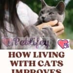 How Living with cats improves your heart