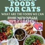 Human-foods-for-cats-what-are-the-foods-we-can-share-with-our-cat-1a