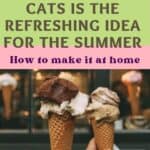 Ice cream for cats is the refreshing idea for the summer: how to make it at home