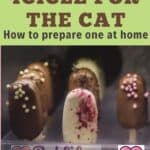 Icicle for the cat: how to prepare one at home