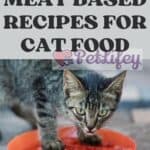 Meat based Recipes for Cat food