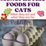 Monoproteic foods for Cats: what they are and what they are for