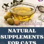 Natural supplements for cats: which ones are the best