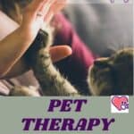 Pet-Therapy-with-Cats-1a
