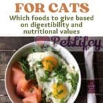 Protein for cats: which foods to give based on digestibility and nutritional values