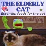 Protein-for-the-elderly-cat-essential-foods-for-the-cat-1a