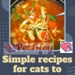 Simple recipes for cats to make at home