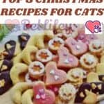 Top 3 Christmas recipes for cats