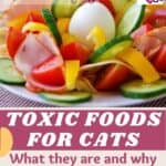 Toxic-foods-for-cats-what-they-are-and-why-they-should-absolutely-avoid-these-foods-1a