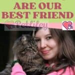 Why Cats are our best friend