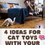 4 Ideas for Cat Toys With Your Old Clothes