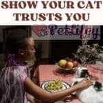 5 signs that show your cat trusts you