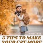5 tips to make your cat more sociable