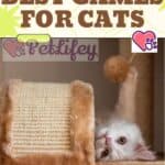 Best-Games-for-Cats-1a