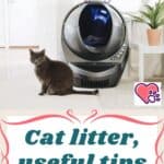 Cat litter, useful tips