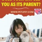 Does your cat see you as its parent?