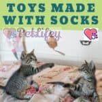 Five cat toys made with socks