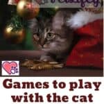 Games-to-play-with-the-cat-this-Christmas-1a