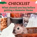 Hamster needs checklist: What should you buy before getting a Hamster Home