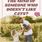 How to change the mind of someone who doesn't like cats?