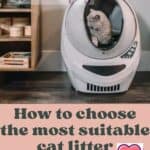 How to choose the most suitable cat litter: tips