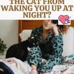How to prevent the cat from waking you up at night?