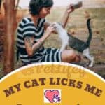My cat licks me: 3 reasons why