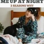 My cat wakes me up at night: 3 reasons why