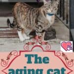 The aging cat: health and behavior