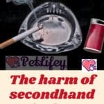 The harm of secondhand smoke for cats