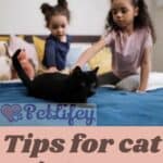 Tips for cat gut care